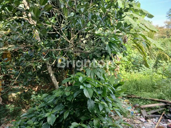 image DIJUAL TANAH/LAHAN PINGGIR JALAN KM 18 COCOK DIBUAT GUDANG, WORKSHOP, INDUSTRI DAN RUKO (2)