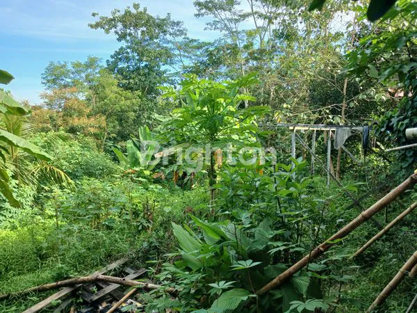 image DIJUAL TANAH/LAHAN PINGGIR JALAN KM 18 COCOK DIBUAT GUDANG, WORKSHOP, INDUSTRI DAN RUKO (3)