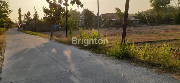 image TANAH SAWAH DI DAERAH KEBONAGUNG MADIUN (1)