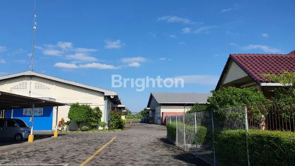 image PABRIK SEPATU AKTIF (2)