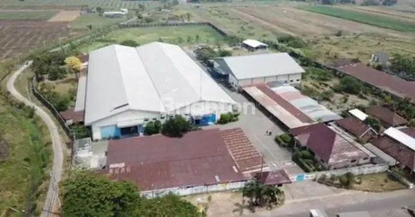 image PABRIK SEPATU AKTIF (1)