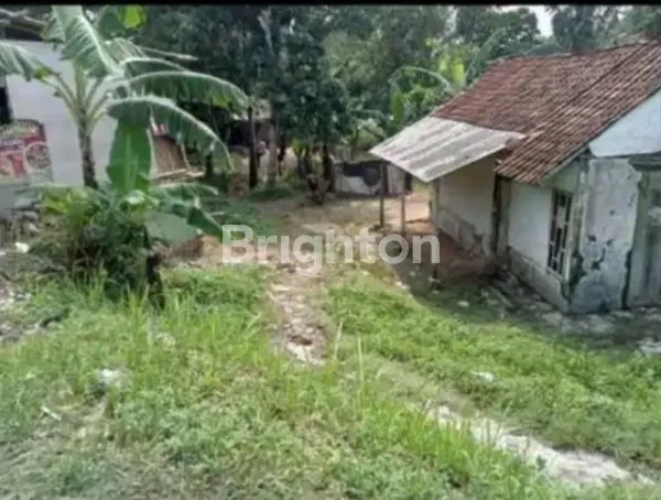 image TANAH KOSONG CILELES RANGKAS SERANG BANTEN (3)