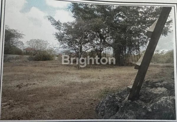 image TANAH COCOK BANGET JADI PERUMAHAN (4)