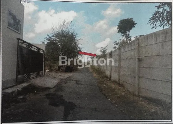 image TANAH COCOK BANGET JADI PERUMAHAN (5)