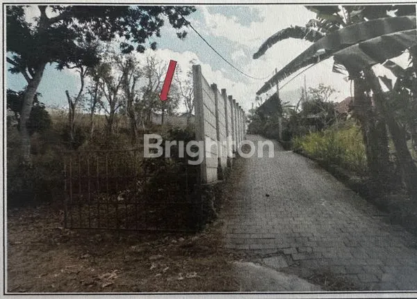 image TANAH COCOK BANGET JADI PERUMAHAN (6)