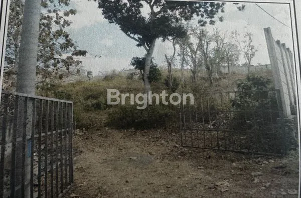 image TANAH COCOK BANGET JADI PERUMAHAN (8)