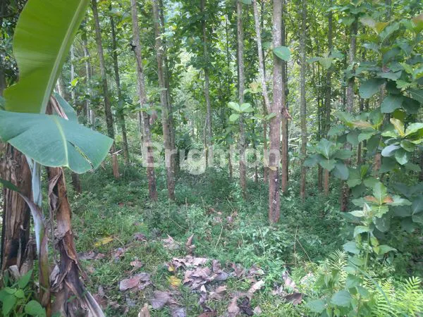 image TANAH VILLA AFFORDABLE DI SELATAN BANDUNG (1)