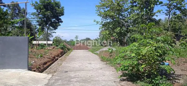 image TANAH DI KARANGPANDAN DEKAT RESTO PUTRI DUYUNG (1)