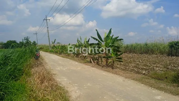 LAHAN LUAS, SUBUR, NOL JALAN RAYA, LAMONGAN