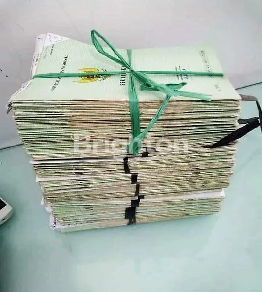 image LAHAN LUAS, SUBUR, NOL JALAN RAYA, LAMONGAN (4)