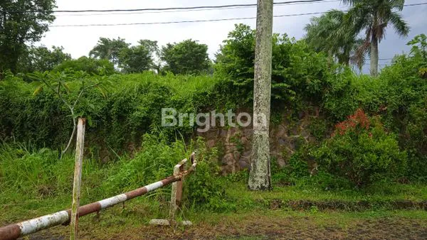 image BOORING HILL SIDE, MALANG: (2)