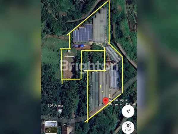 image KEBUN MELON DAERAH SALATIGA (4)