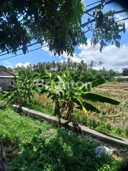 image TANAH DI JLN IB MANTRA COCOK UNTUK GUDANG (6)