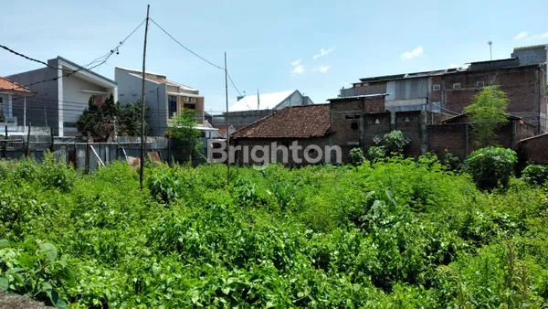 image LAHAN 4000M² SHM, HARGA NEGO (2)