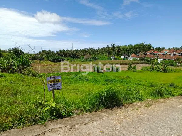 image TANAH KAVLING SIAP BANGUN DI TABANAN (8)