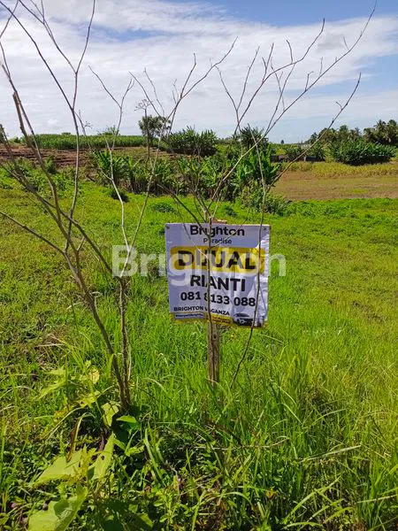image TANAH KAVLING SIAP BANGUN DI TABANAN (1)