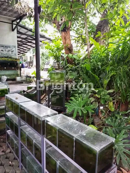 image TURUN HARGA RUMAH DI CIBUBUR (4)