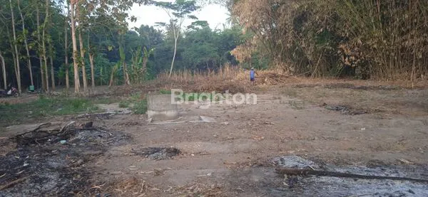 TURUN HARGA  TANAH LUAS DI BANTUL