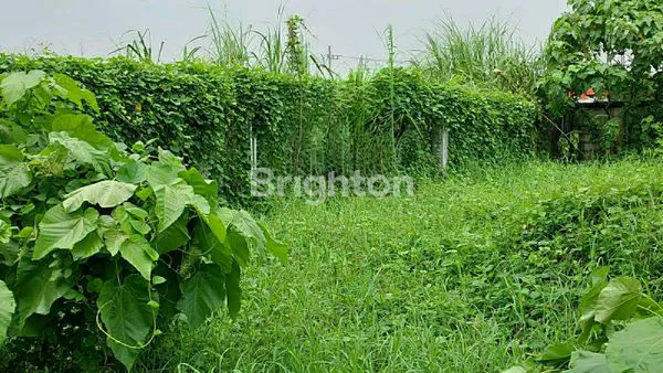 Gambar Property TANAH 2426 M SIAP DIBANGUN
