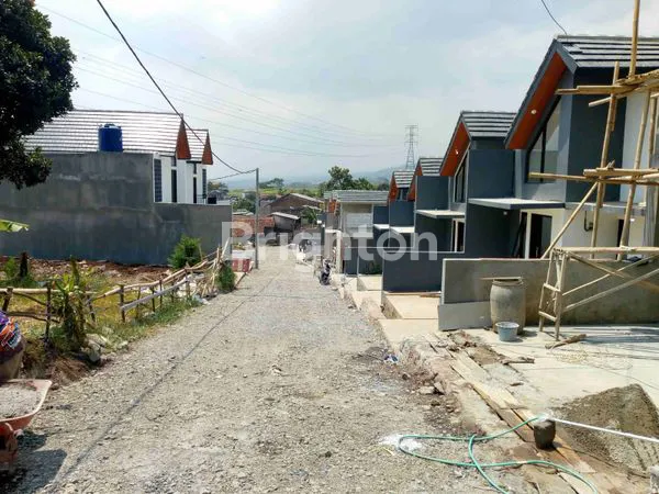 image PESONA CIPADUNG  (4)