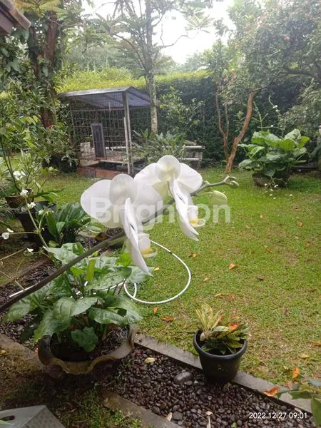 image RUMAH MEWAH HARGA SANGAT MURAH DI LINGKUNGAN ELIT KAKI GUNUNG GEDE BOGOR (6)