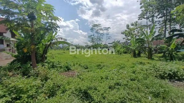 image TANAH 2.230 M2 DI JL RAYA BAKALAN, SUDIMORO KRAJAN, SUDIMORO, KEC BULULAWANG, KAB MALANG (1)