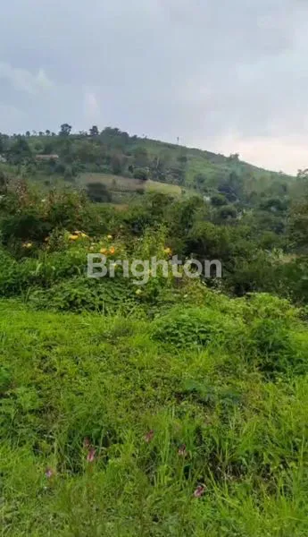 image TANAH KAVLING RESORT DAGO PAKAR SPRINGHILLS TYPE NAIK, BUKAN DI LERENG ATAU TYPE BAWAH  (5)