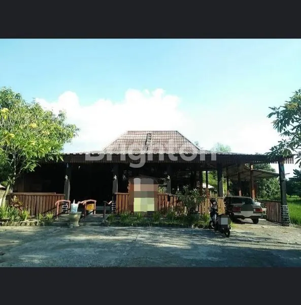 MOJOLABAN - RESTORAN AKTIF BANGUNAN JOGLO MASIH BAGUS TERAWAT SIAP PAKAI