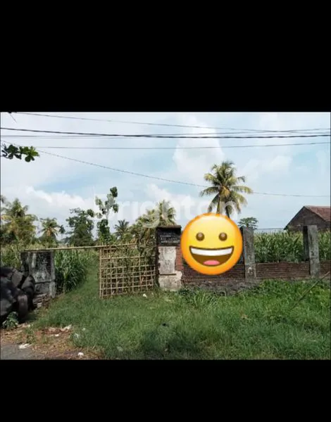 TANAH PRODUKTIF NOL JALAN RAYA JATIROTO