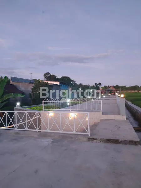 image TANAH ISTIMEWA  DI ROGOJAMPI , BANYUWANGI RASA UBUD (1)