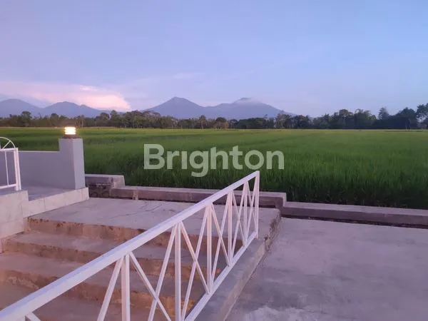 image TANAH ISTIMEWA  DI ROGOJAMPI , BANYUWANGI RASA UBUD (2)