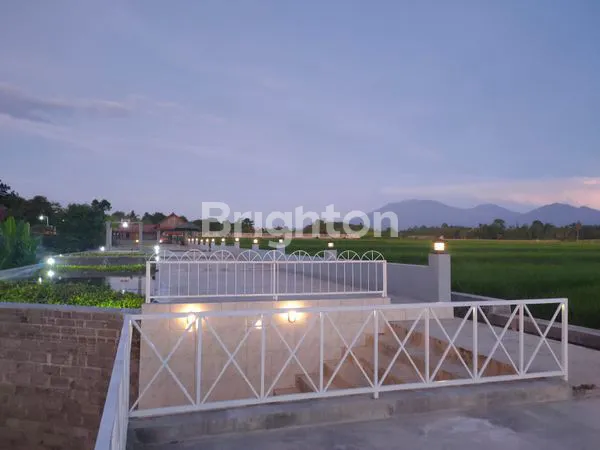 image TANAH ISTIMEWA  DI ROGOJAMPI , BANYUWANGI RASA UBUD (4)