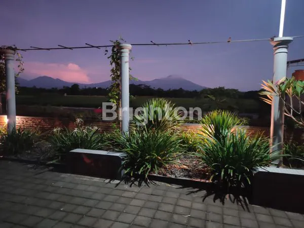 image TANAH ISTIMEWA  DI ROGOJAMPI , BANYUWANGI RASA UBUD (7)