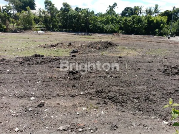 image TANAH DATAR KAVLING ATAU GLOBAL COCOK UNTUK VILLA AREA PANTAI PERERENAN (3)