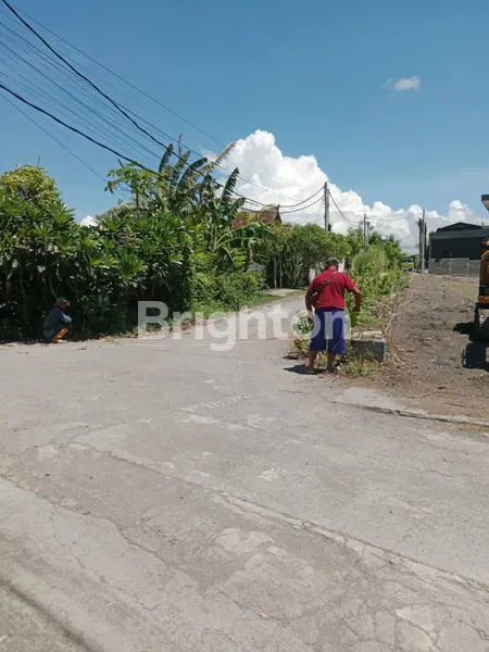 image TANAH DATAR KAVLING ATAU GLOBAL COCOK UNTUK VILLA AREA PANTAI PERERENAN (5)