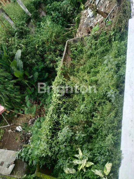 image RUMAH TINGGAL DIKAWASAN WISATA (8)