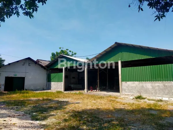 image PABRIK GUDANG BABAT TUBAN  (3)