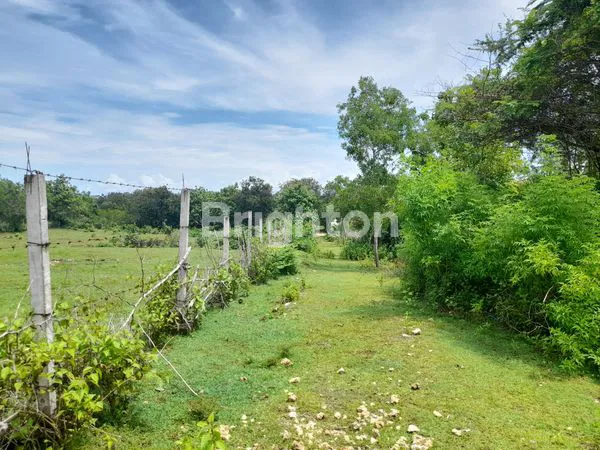 image TANAH KAVLING DATAR BEBAS BANJIR PURI GADING JIMBARAN (1)