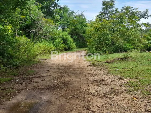 image TANAH KAVLING DATAR BEBAS BANJIR PURI GADING JIMBARAN (5)