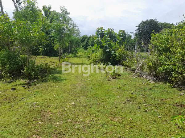 image TANAH KAVLING DATAR BEBAS BANJIR PURI GADING JIMBARAN (3)