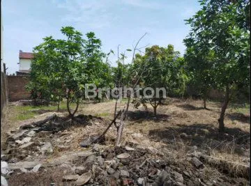 image SEDATI BUNCITAN HITUNG TANAH (2)