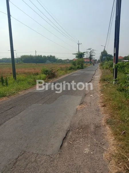 image TANAH SAWAH  (1)