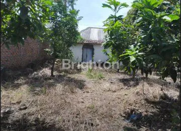 image DIJUAL TANAH + BANGUNAN HITUNG TANAH AREA SEDATI SIDOARJO (6)