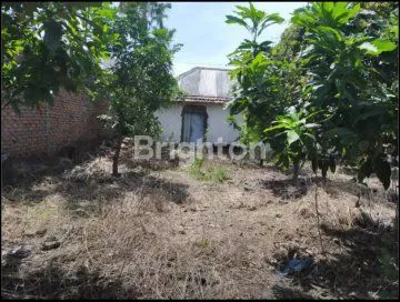 image DIJUAL TANAH + BANGUNAN HITUNG TANAH AREA SEDATI SIDOARJO (4)