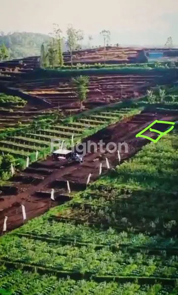 image TANAH 2 KAVLING BATU (2)