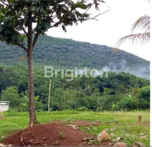 image TANAH LOKASI STRATEGIS UDARA SEJUK (1)