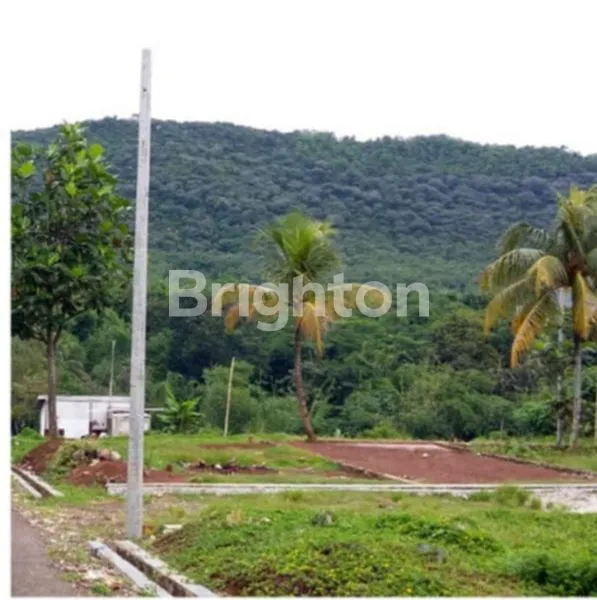 image TANAH LOKASI STRATEGIS UDARA SEJUK (3)