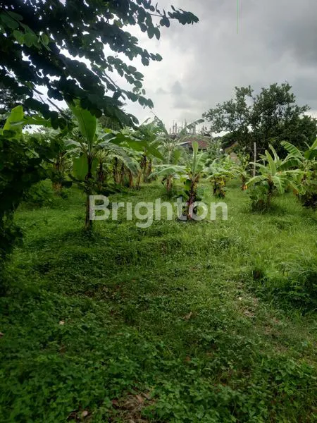 image TANAH KOSONG, PADAT DAN DATAR (4)