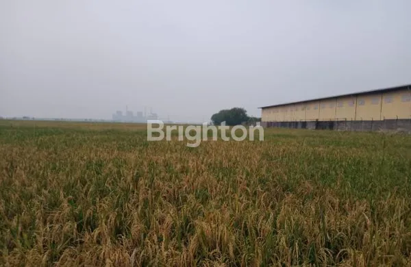 image KAVLING BONUS PABRIK DI MAUK TANGERANG (2)