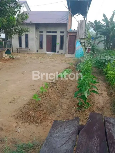 image DIJUAL RUMAH DENGAN HALAMAN LUAS DI LOA KULU (2)